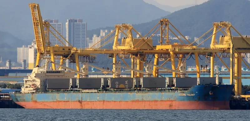 RUI FU AN Bulk Carrier IMO 9626950 photo 9