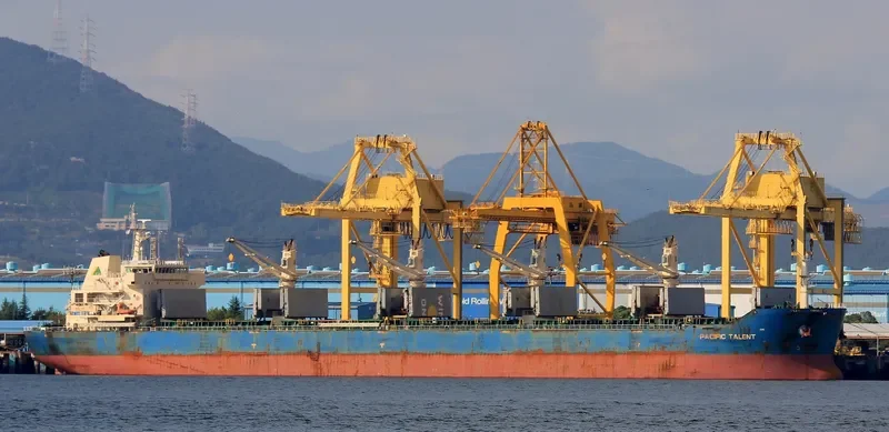 RUI FU AN Bulk Carrier IMO 9626950 photo 10