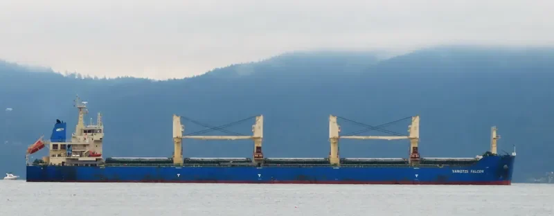YANGTZE FALCON Bulk Carrier IMO 9626962