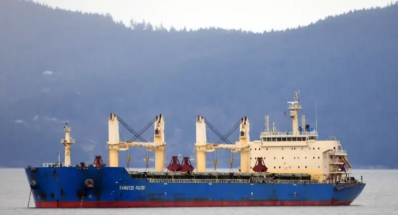 YANGTZE FALCON Bulk Carrier IMO 9626962 photo 2