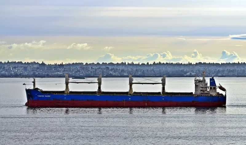 YANGTZE FALCON Bulk Carrier IMO 9626962 photo 3