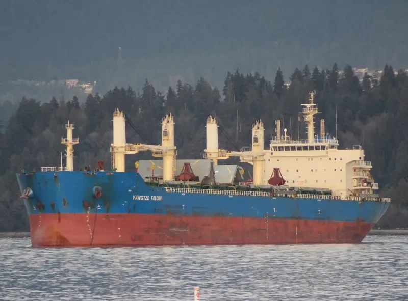YANGTZE FALCON Bulk Carrier IMO 9626962 photo 4