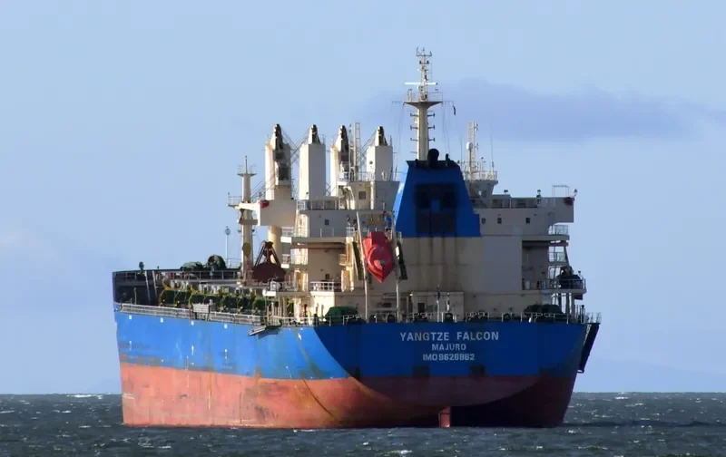 YANGTZE FALCON Bulk Carrier IMO 9626962 photo 5