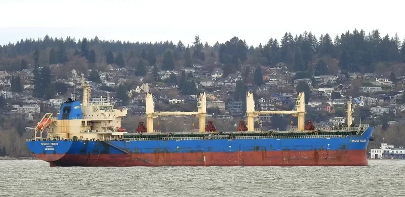 YANGTZE FALCON Bulk Carrier IMO 9626962 photo 6