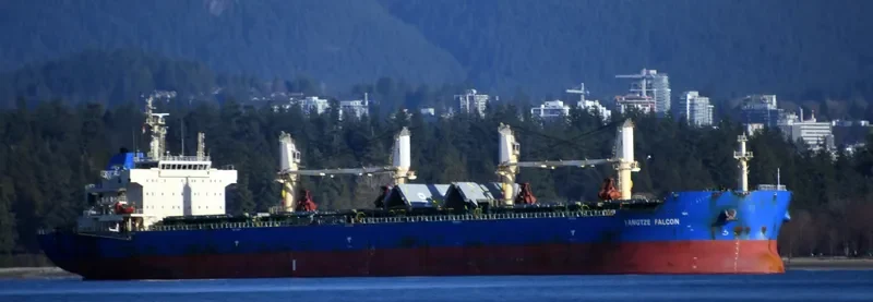 YANGTZE FALCON Bulk Carrier IMO 9626962 photo 7