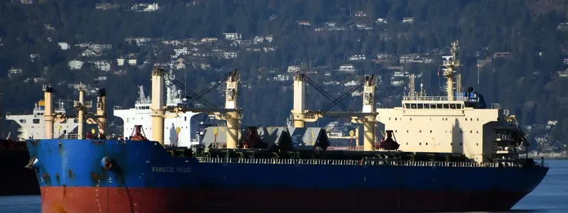 YANGTZE FALCON Bulk Carrier IMO 9626962 photo 8