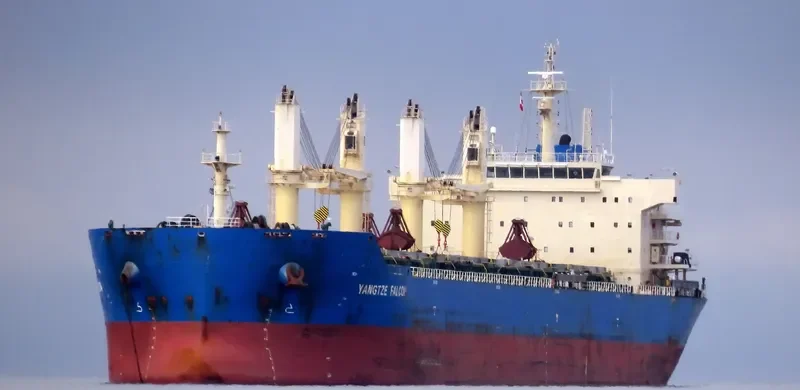 YANGTZE FALCON Bulk Carrier IMO 9626962 photo 9