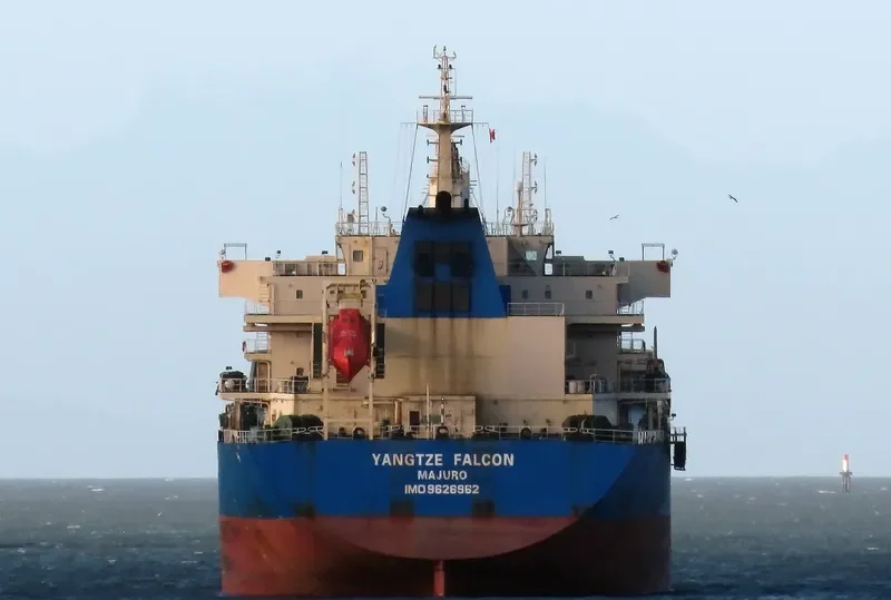 YANGTZE FALCON Bulk Carrier IMO 9626962 photo 10