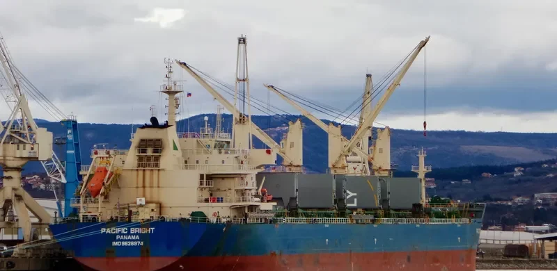 SEA VIRYA Bulk Carrier IMO 9626974