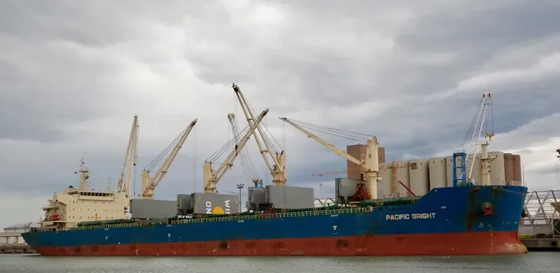 SEA VIRYA Bulk Carrier IMO 9626974 photo 2