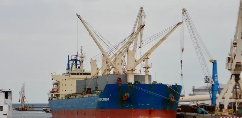 SEA VIRYA Bulk Carrier IMO 9626974 photo 3