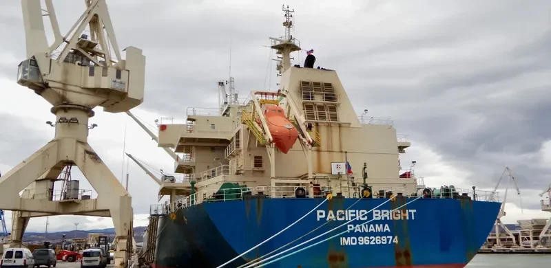 SEA VIRYA Bulk Carrier IMO 9626974 photo 4