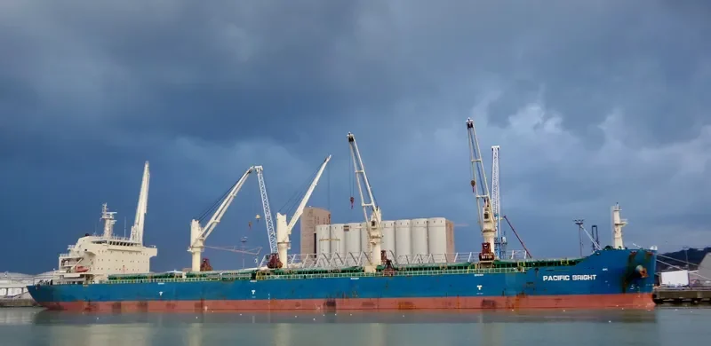 SEA VIRYA Bulk Carrier IMO 9626974 photo 5