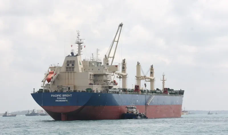 SEA VIRYA Bulk Carrier IMO 9626974 photo 6