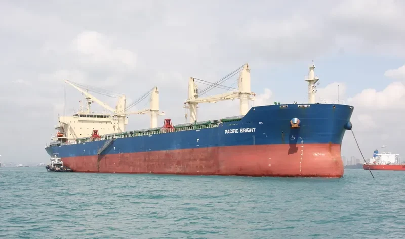 SEA VIRYA Bulk Carrier IMO 9626974 photo 7