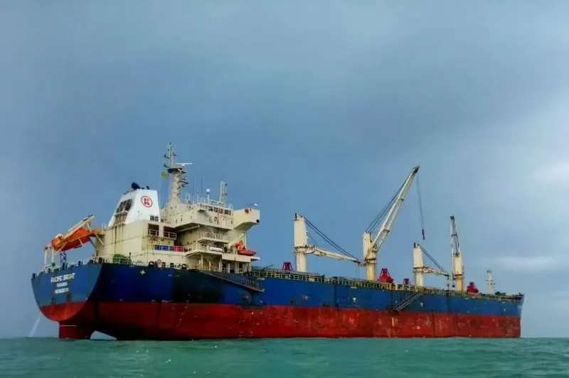 SEA VIRYA Bulk Carrier IMO 9626974 photo 8
