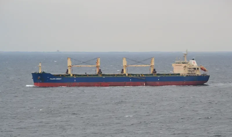 SEA VIRYA Bulk Carrier IMO 9626974 photo 9