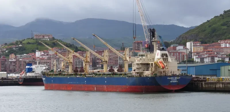 SEA VIRYA Bulk Carrier IMO 9626974 photo 10