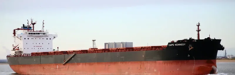 CAPE KENNEDY Bulk Carrier IMO 9627057 photo 8