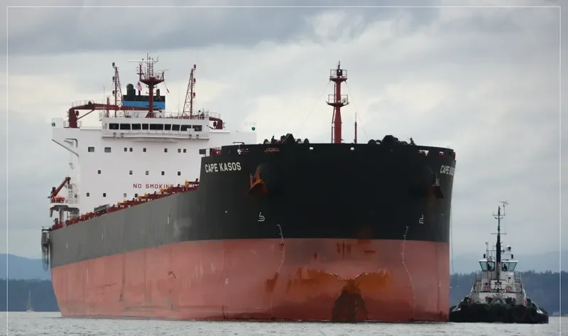 CAPE KASOS Bulk Carrier IMO 9627069 photo 9