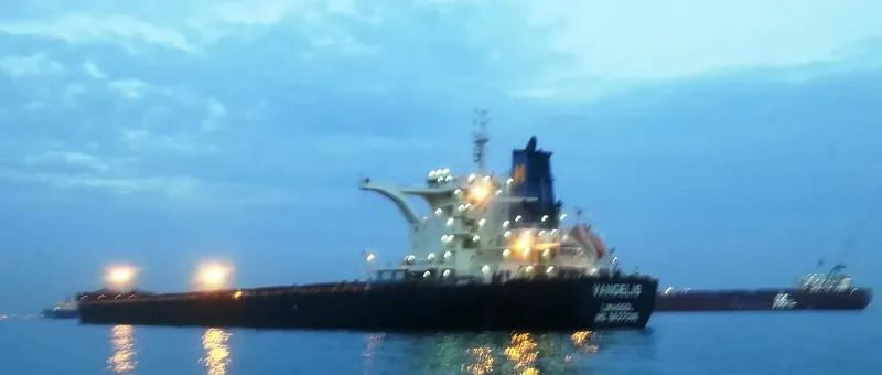 VANGELIS Bulk Carrier IMO 9627095 photo 2