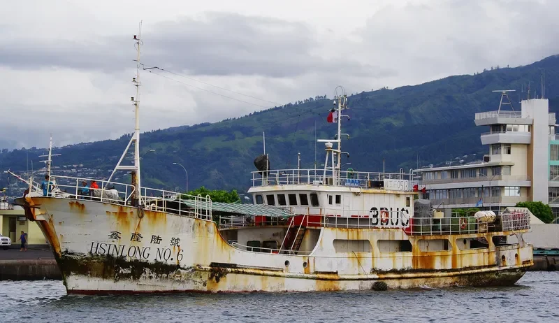 XIN LONG 6 General Cargo IMO 9627265 photo 2