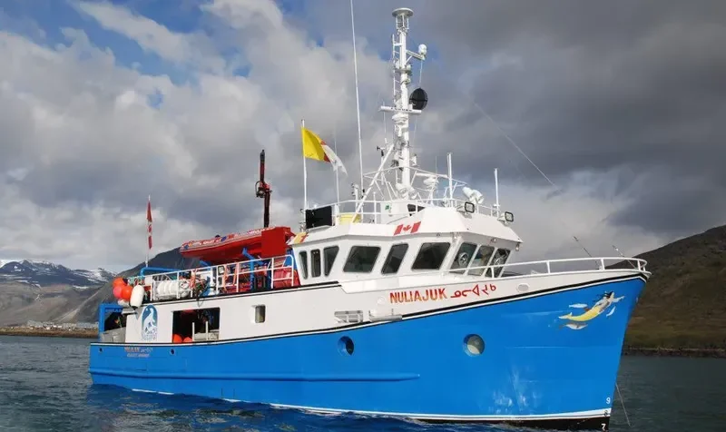 NULIAJUK General Cargo IMO 9627277