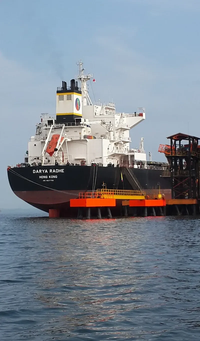 W ORIGINAL Bulk Carrier IMO 9627758