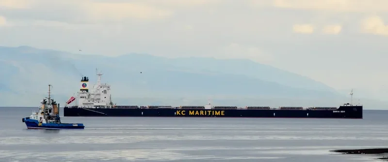 DARYA DEVI Bulk Carrier IMO 9627760