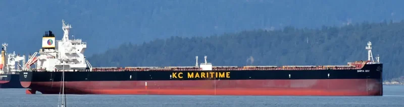 DARYA DEVI Bulk Carrier IMO 9627760 photo 2