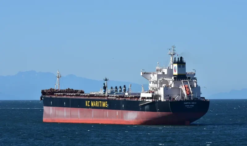 DARYA DEVI Bulk Carrier IMO 9627760 photo 3