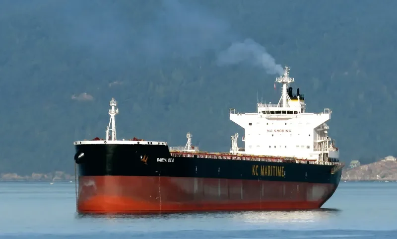 DARYA DEVI Bulk Carrier IMO 9627760 photo 5