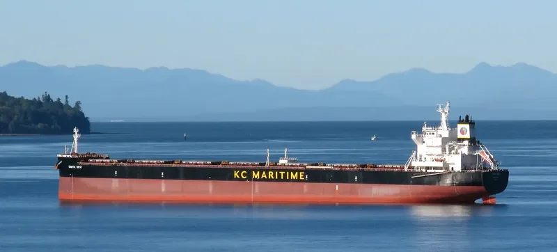 DARYA DEVI Bulk Carrier IMO 9627760 photo 6