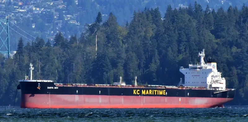 DARYA DEVI Bulk Carrier IMO 9627760 photo 7