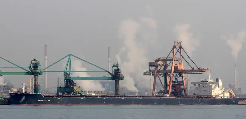 MORANDI Bulk Carrier IMO 9627837 photo 3