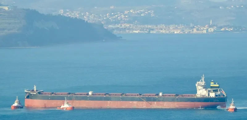 MORANDI Bulk Carrier IMO 9627837 photo 6