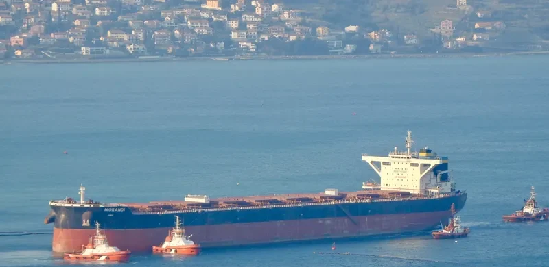 MORANDI Bulk Carrier IMO 9627837 photo 7