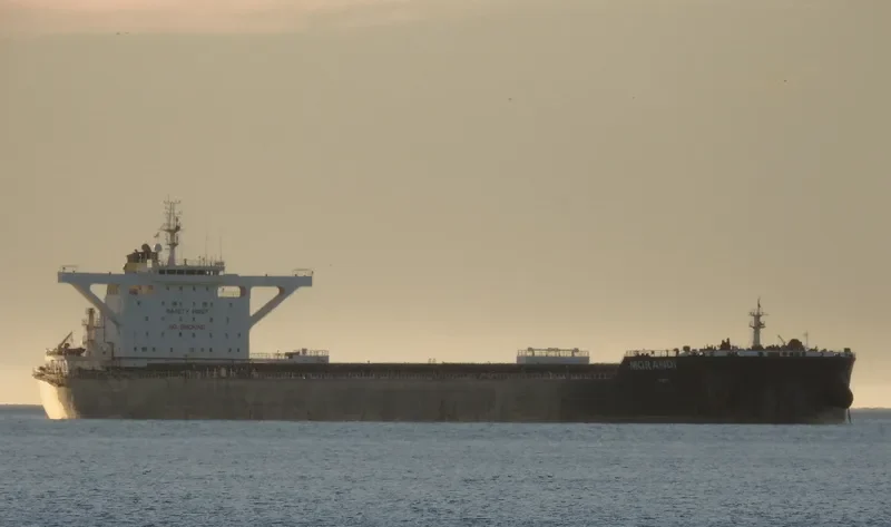 MORANDI Bulk Carrier IMO 9627837 photo 8