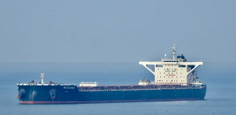 MORANDI Bulk Carrier IMO 9627837 photo 10