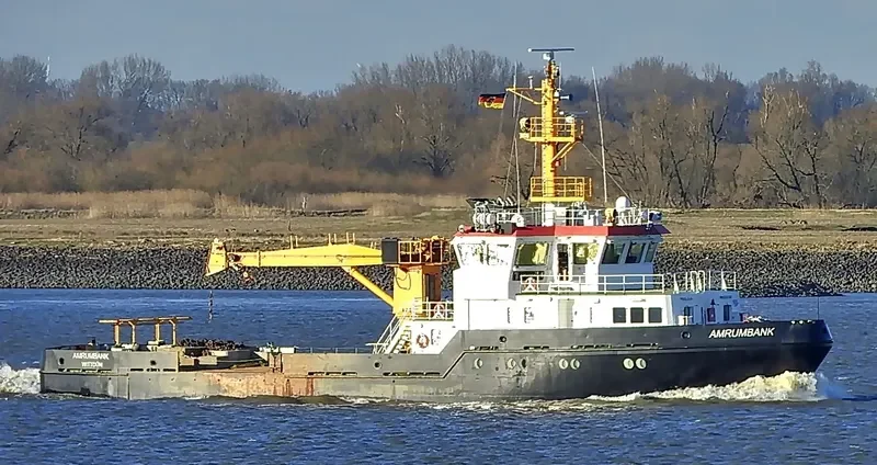 AMRUMBANK Bulk Carrier IMO 9627851 photo 3