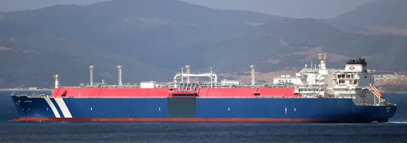 WILFORCE General Cargo IMO 9627954