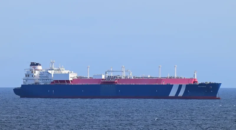 WILFORCE General Cargo IMO 9627954 photo 2
