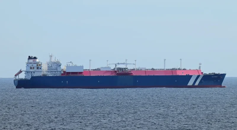 WILFORCE General Cargo IMO 9627954 photo 3