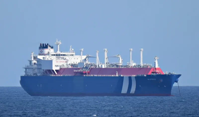 WILFORCE General Cargo IMO 9627954 photo 4