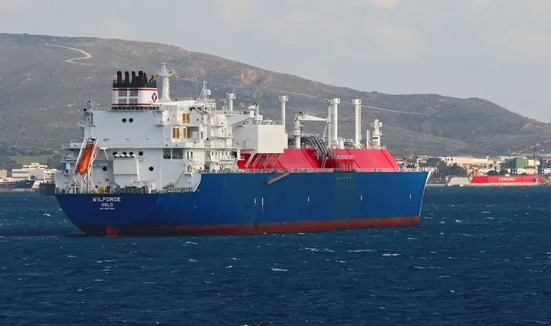 WILFORCE General Cargo IMO 9627954 photo 5