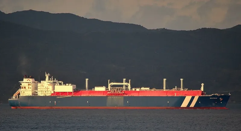 WILFORCE General Cargo IMO 9627954 photo 6