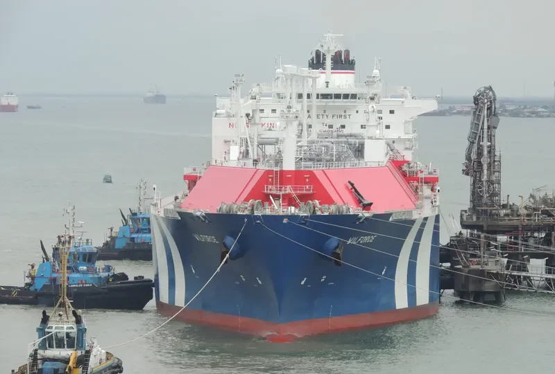 WILFORCE General Cargo IMO 9627954 photo 7