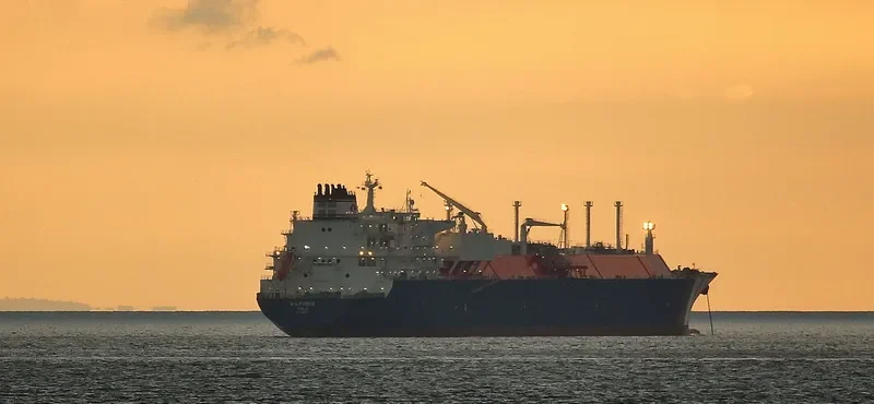 WILFORCE General Cargo IMO 9627954 photo 9