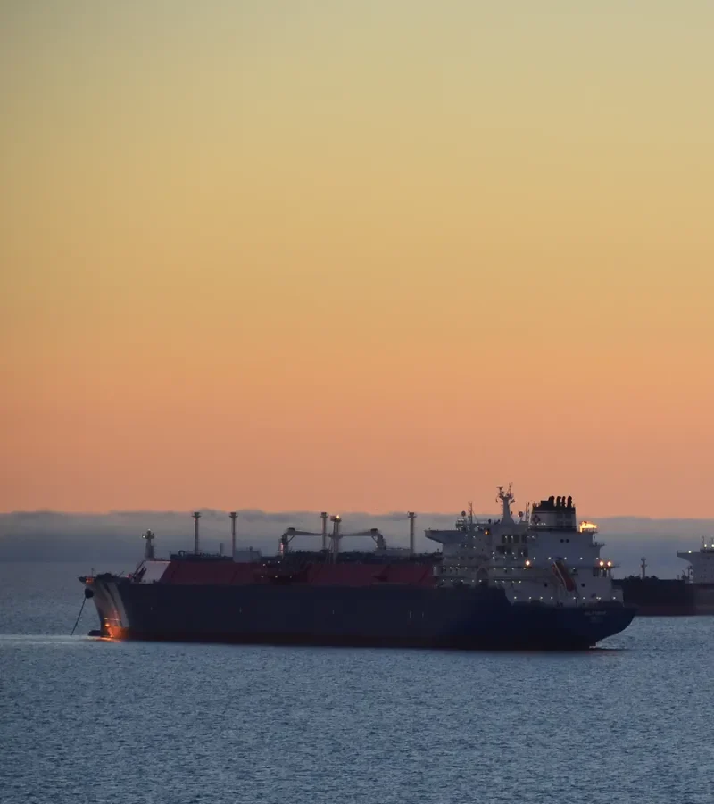 WILFORCE General Cargo IMO 9627954 photo 10