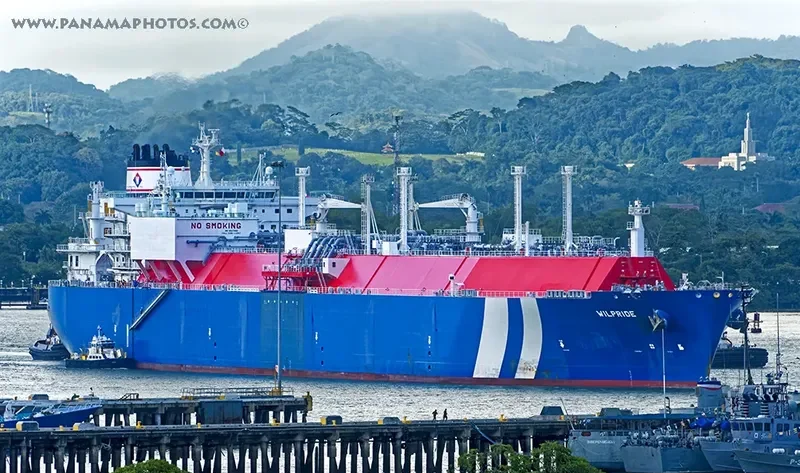 WILPRIDE General Cargo IMO 9627966 photo 2